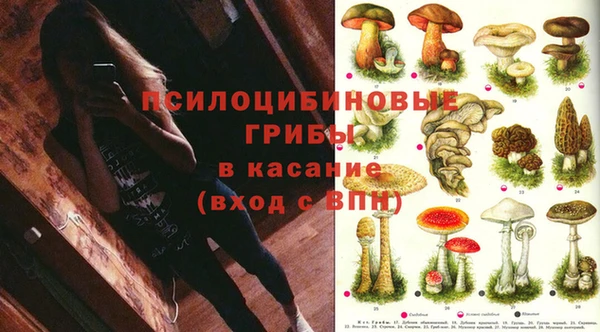 мяу мяу кристалл Снежногорск