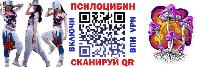 Псилоцибиновые грибы Psilocybe Вяземский